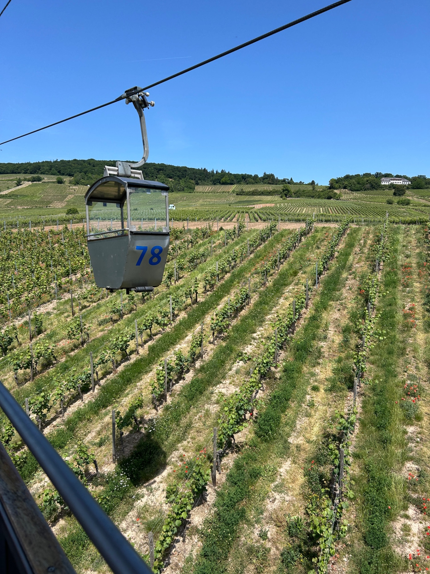 Seilbahn-Gondel Nr. 78 über den Rheingauer Weinbergen